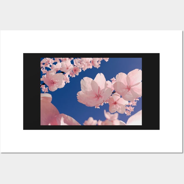 Cherry Blossom Illustration Wall Art by mooonthemoon